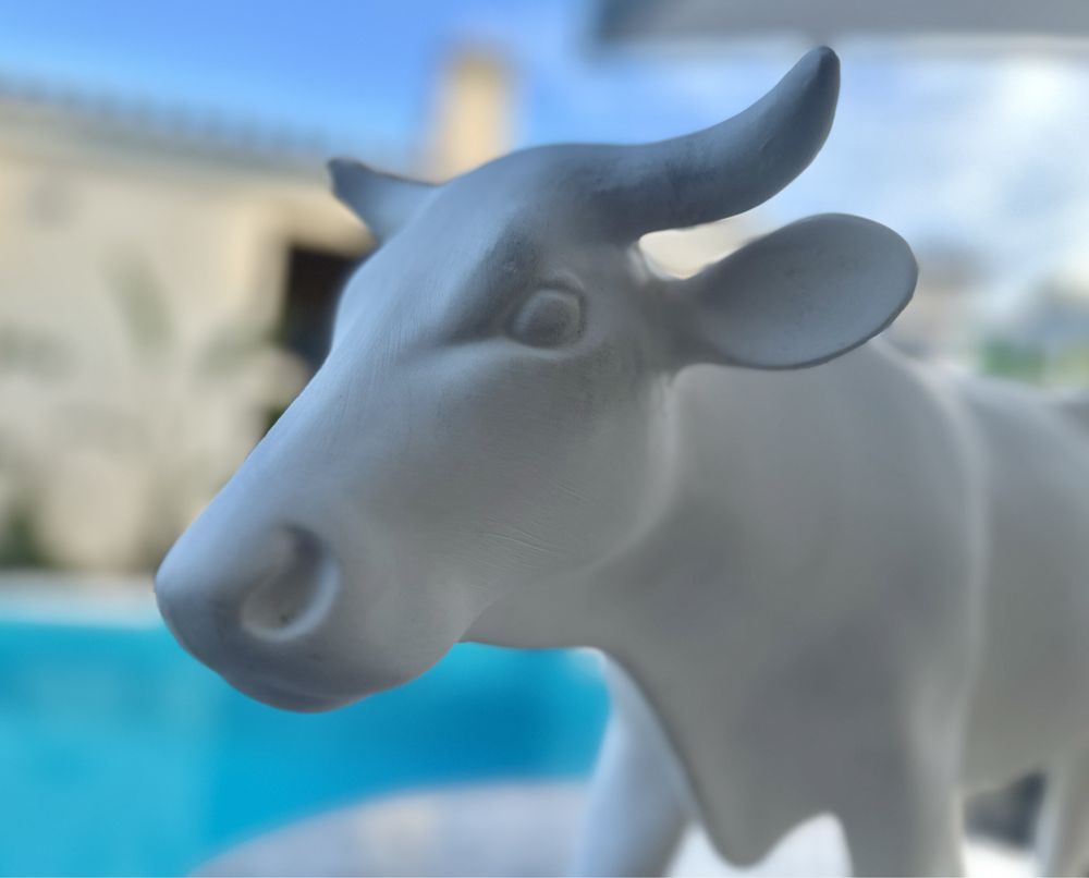 Lote de 3 vacas chacota de grrande dimensao