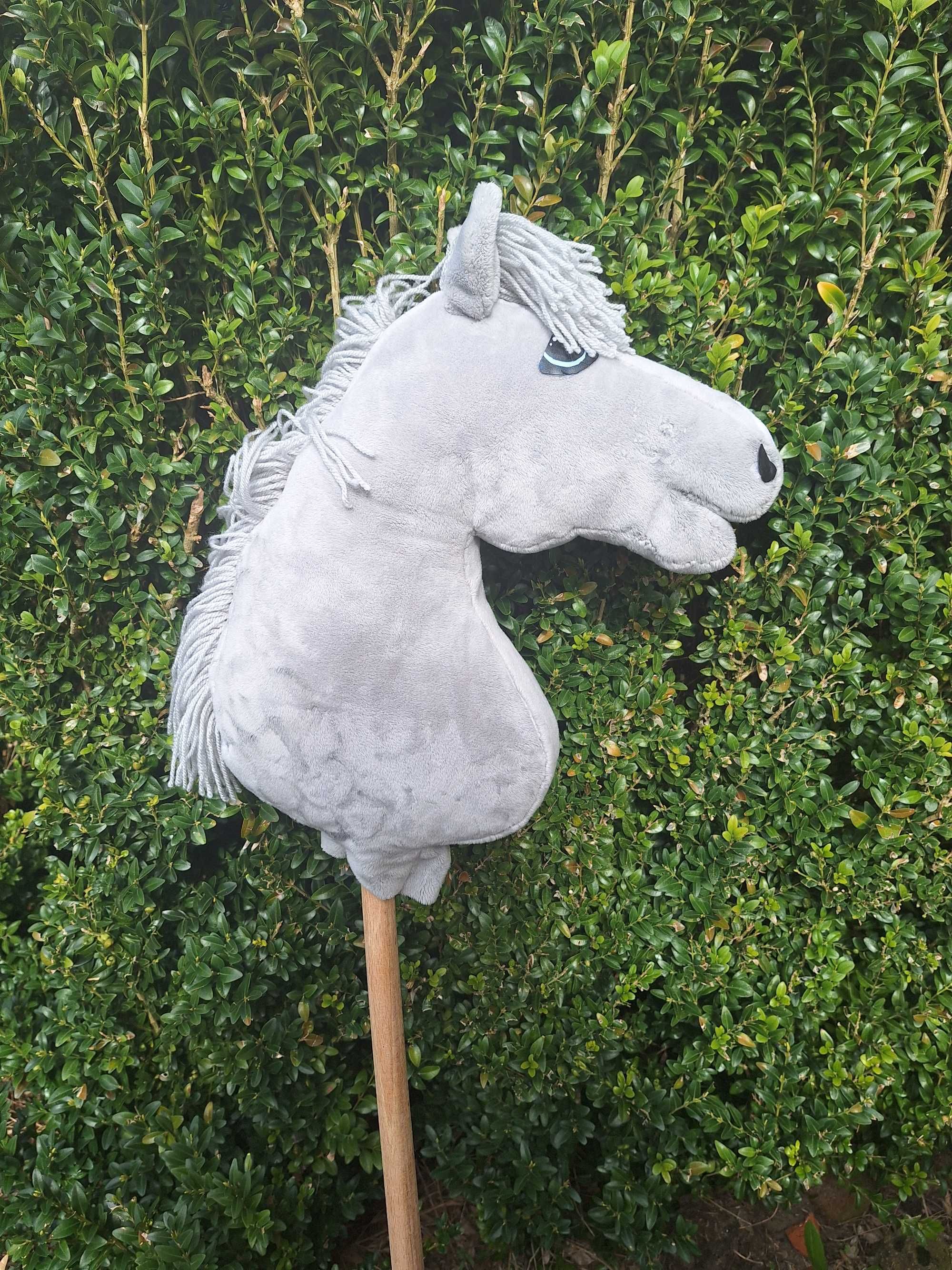 Hobby horse rybie oczy