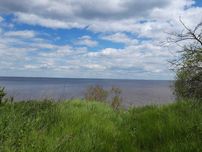 Вихід до води, Ясногородка( Вишгород), 90 соток,  будівництво. Супер!