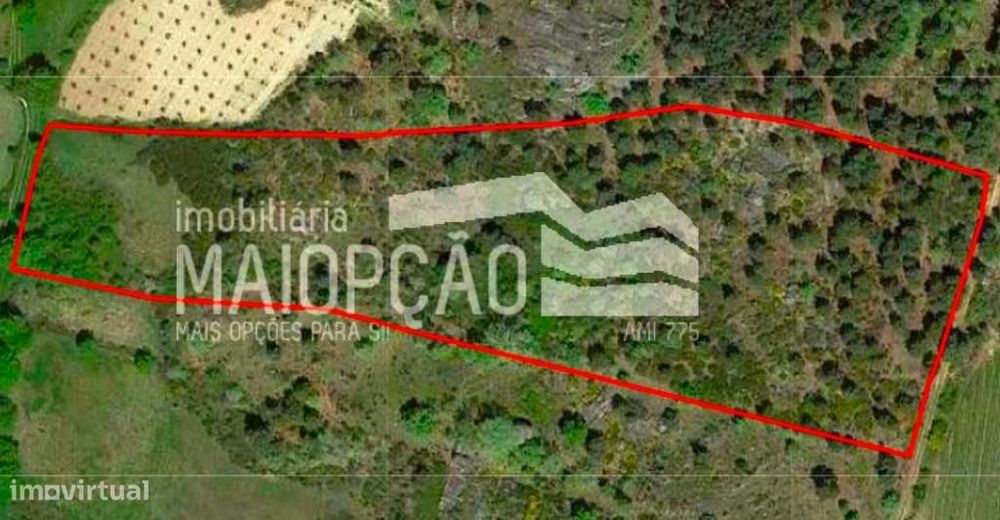 Terreno Rustico em Lameira - Concelho de Pinhel