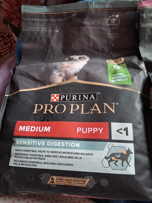 Karma dla psa Purina proplan
