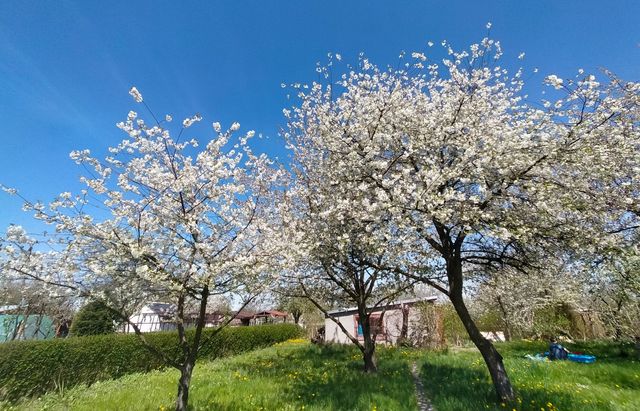 Działka ROD Oleśnica na sprzedaż! Świetna Inwestycja