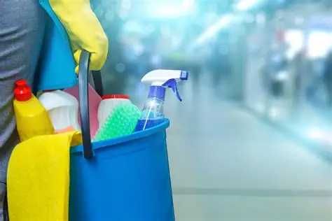 Cleaning Excellence