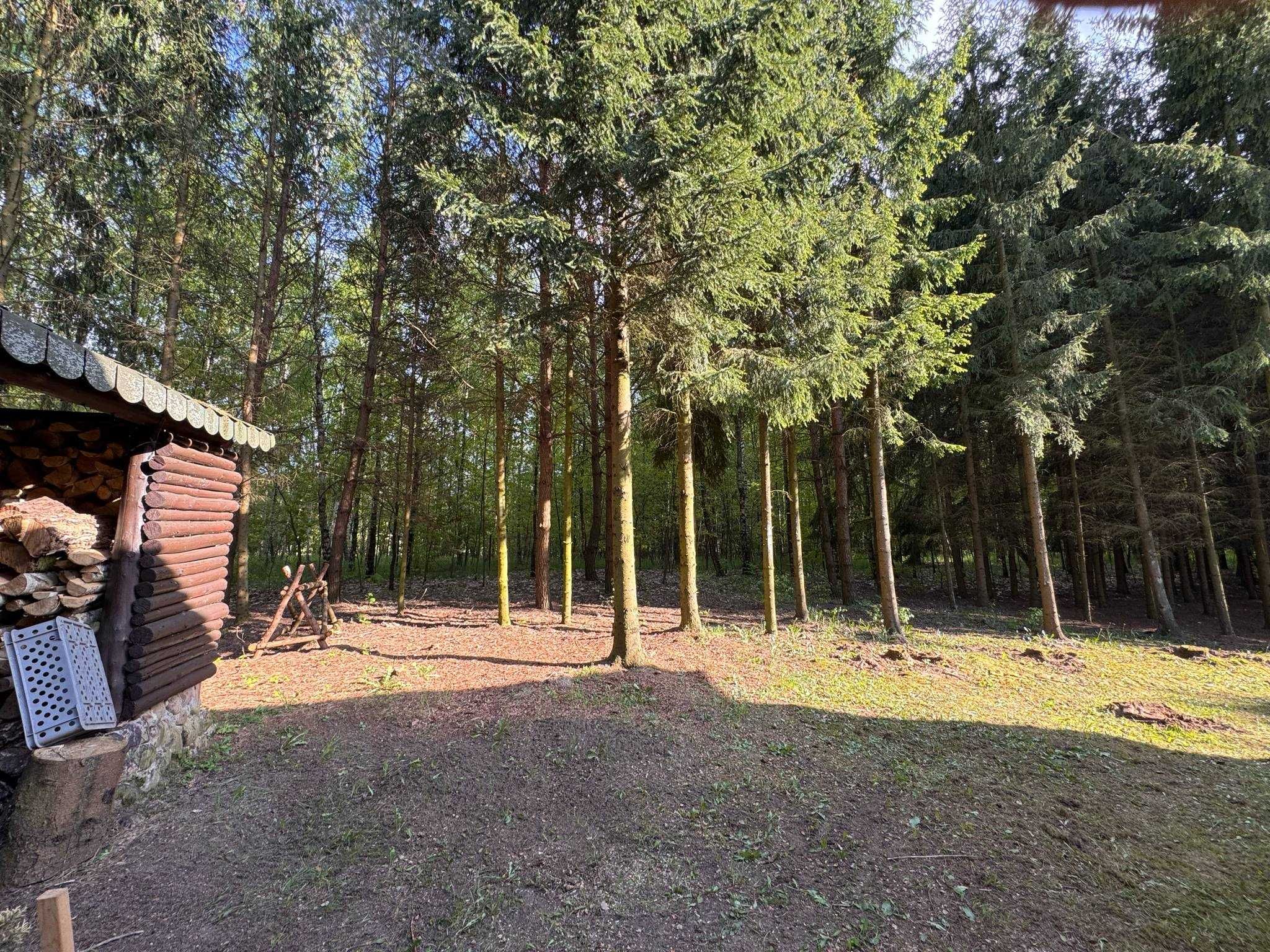 Wspaniały dom na wynajem! Zapraszamy serdecznie.