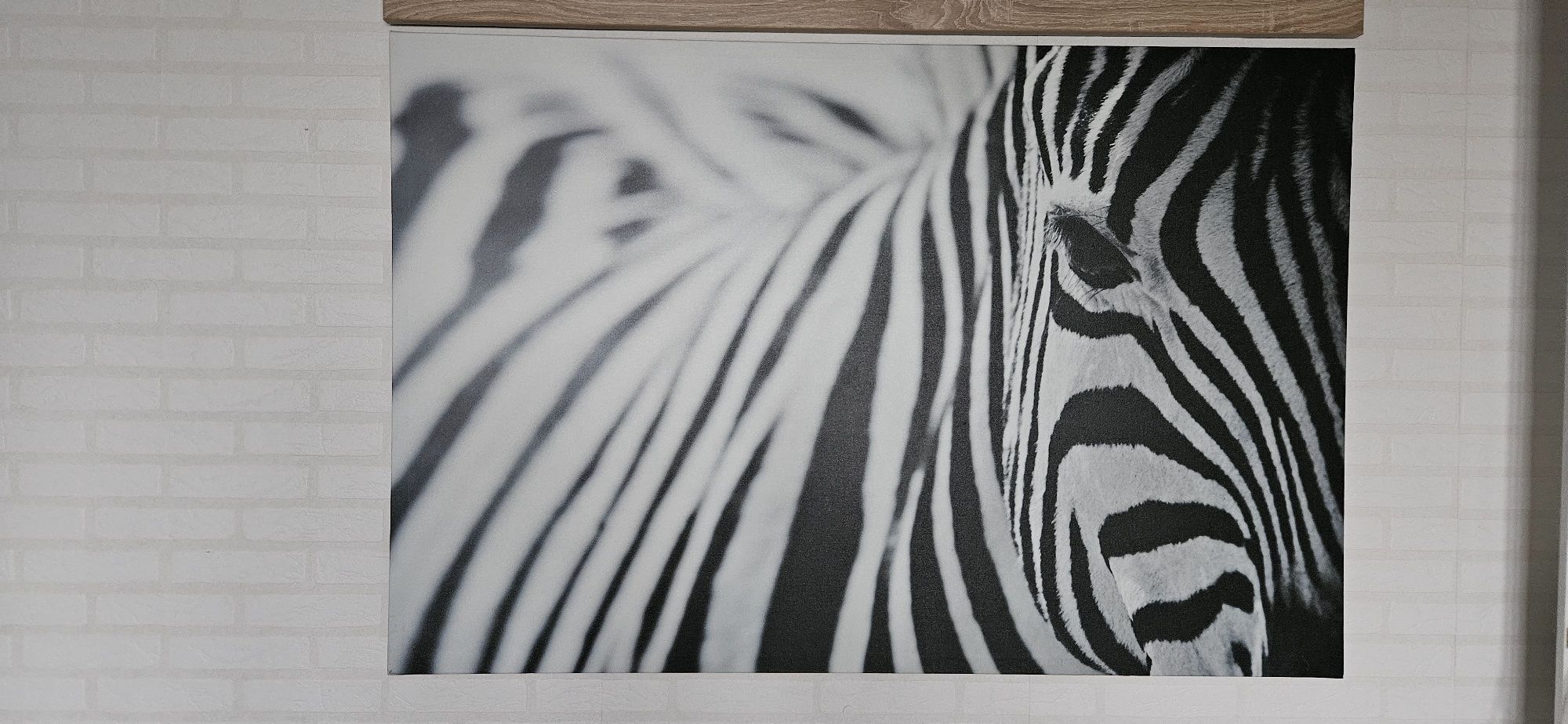 Obraz duży zebra