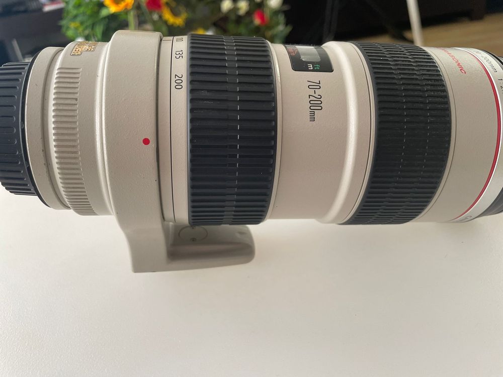 Canon 70-200 L.2 muito estimada