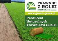 Trawniki z rolki Green Grass/Trawa plantacja/Producent