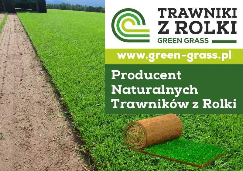 Trawniki z rolki Green Grass/Trawa plantacja/Producent