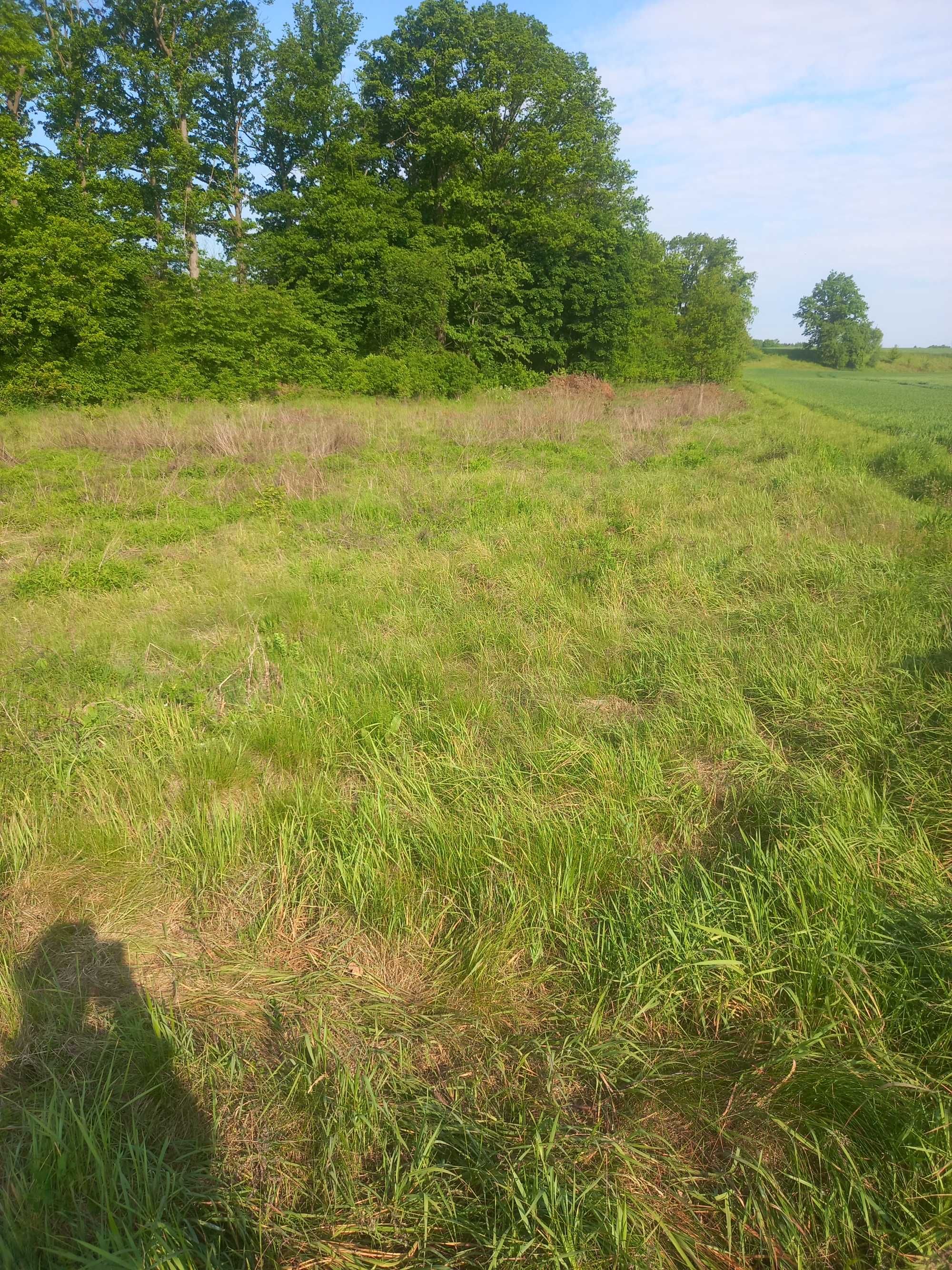 Działka budowlana