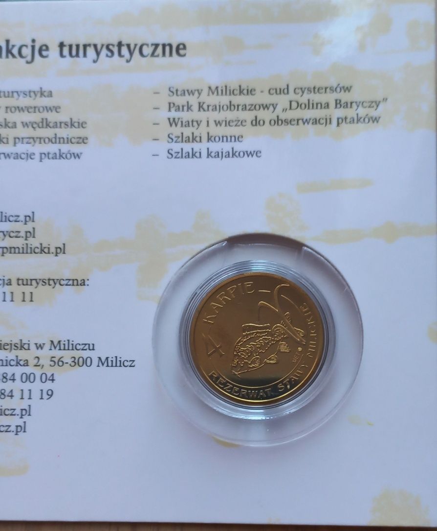 4 karpie milickie 2008 r. Dukat lokalny