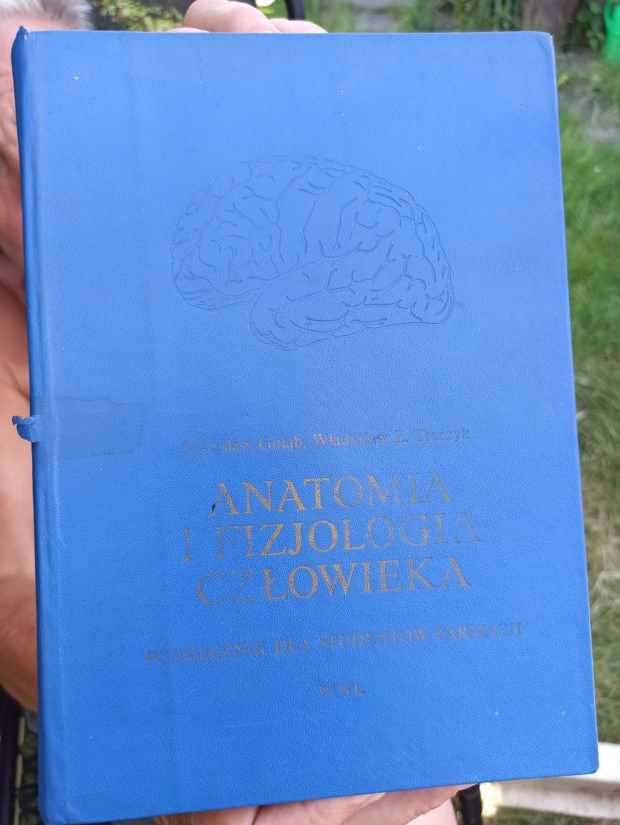 Gołąb anatomia i fizjologia człowieka