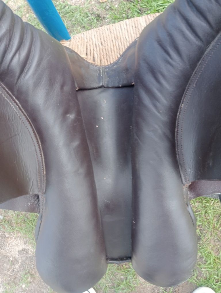 Cavalo, égua,poldro