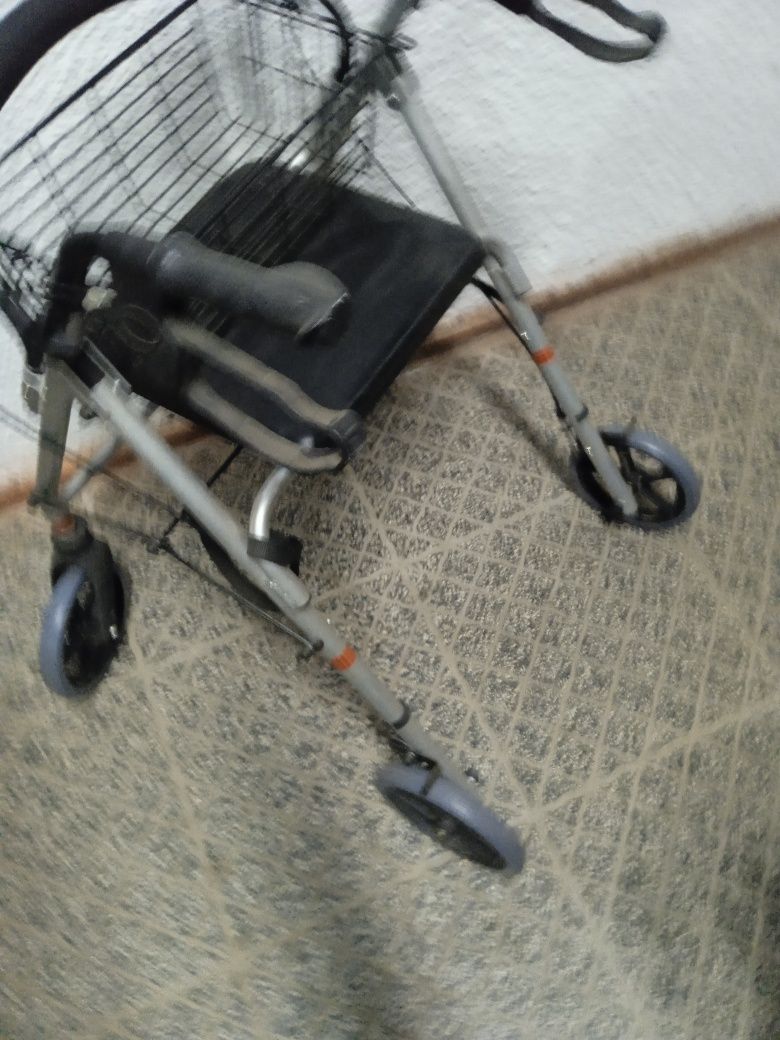 Vendo andarilho novo