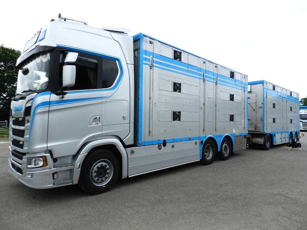 Do Zwierzat Zestaw SCANIA S660 zab i przy PEZZAIOLI 11/2021
