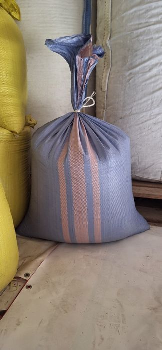 Pszenica ozima wilejka