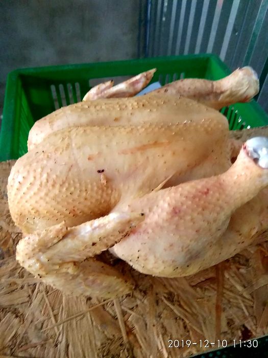 Мясо курицы, тушки бройлеров, утки, цыплята опт