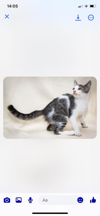 Dlaczego tak dlugo nikt nas nie chce?