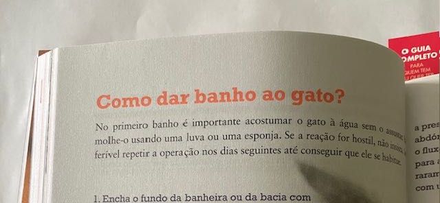 Livro COOL CAT  de Sónia Miranda e Inês Fonseca