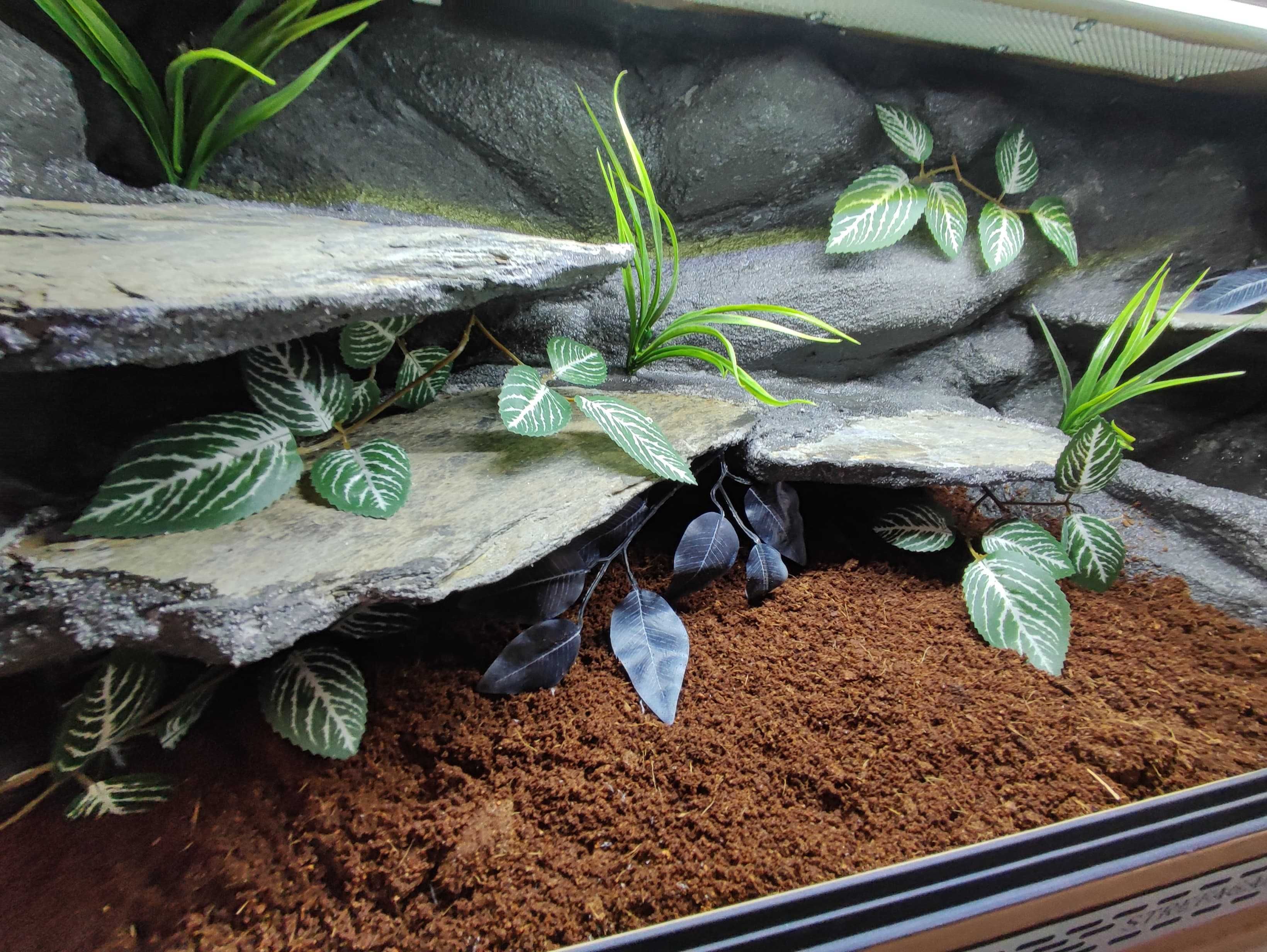 Terrarium tropikalne nr725 100/40/40 dla węża boa pyton DOSTĘPNE