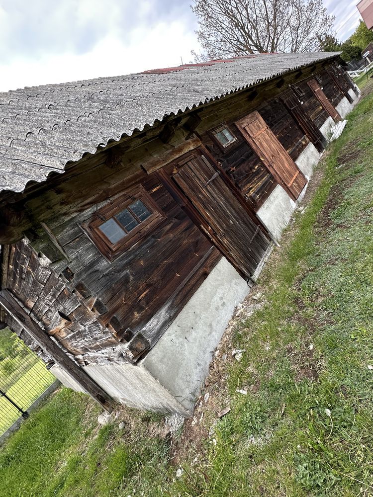 Oddam drzewo w zamian za rozbiórke