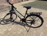 Rower Cube Nature 28"