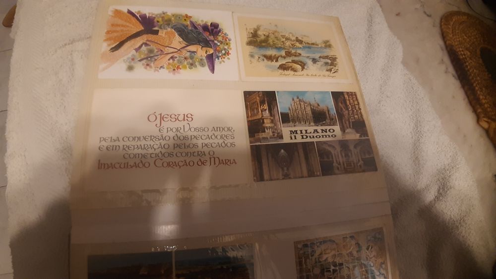 Vendo postais ilustrados para colecionadores  a muito bom preço.