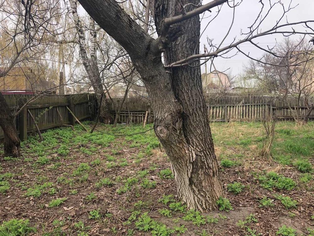 Будинок село Качали Бородянський район від Киева 1,5 години