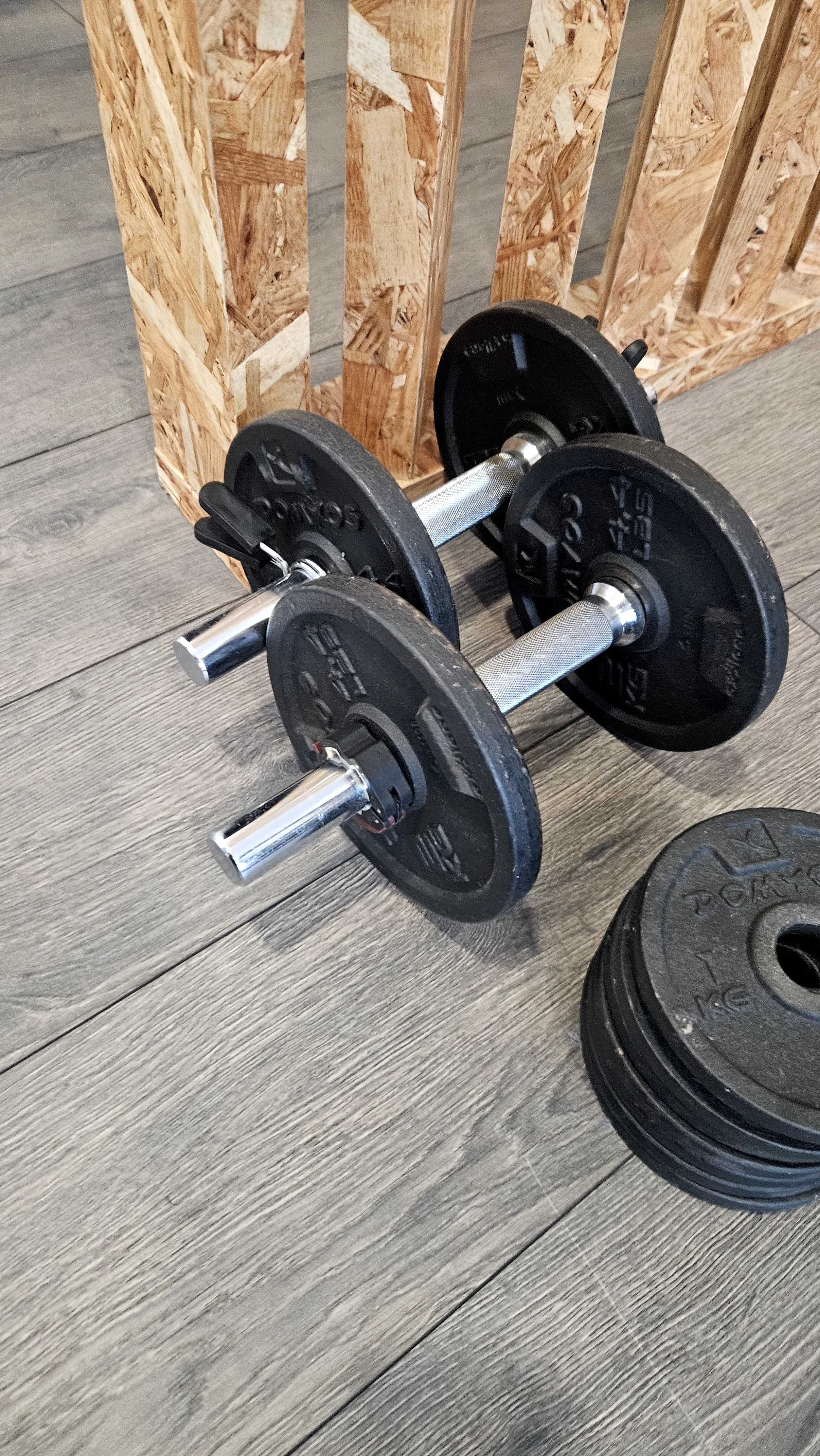 Halteres de musculação