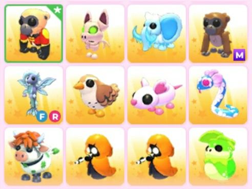 Пети адопт ми в гарному стані