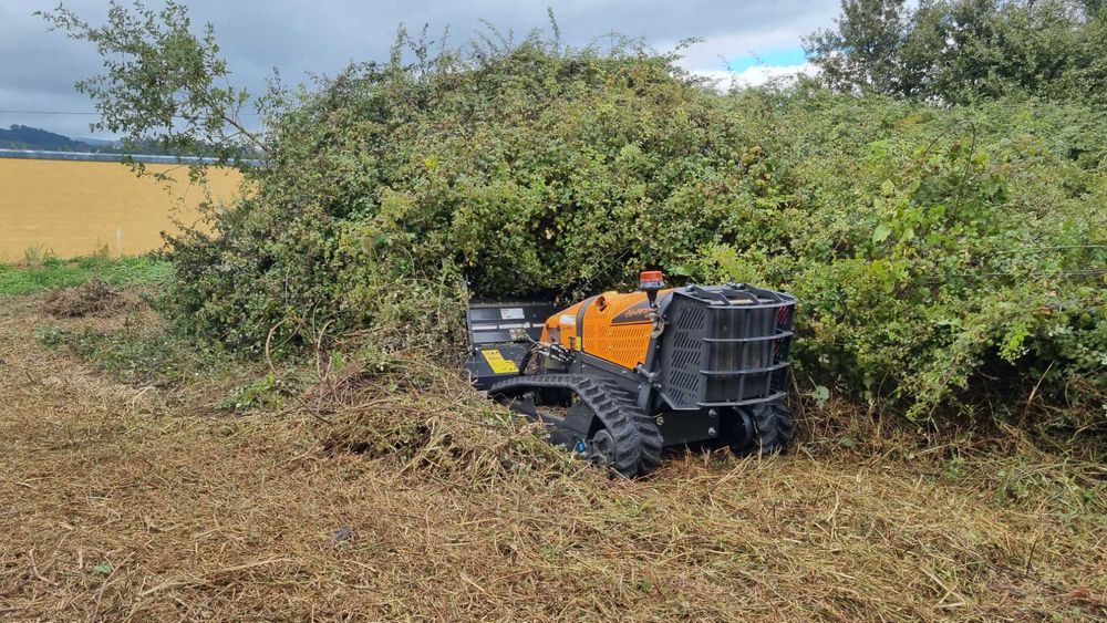 Limpeza terrenos agricolas e florestais