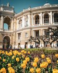 Продам 1 комн квартиру центр Успенская Пушкинская