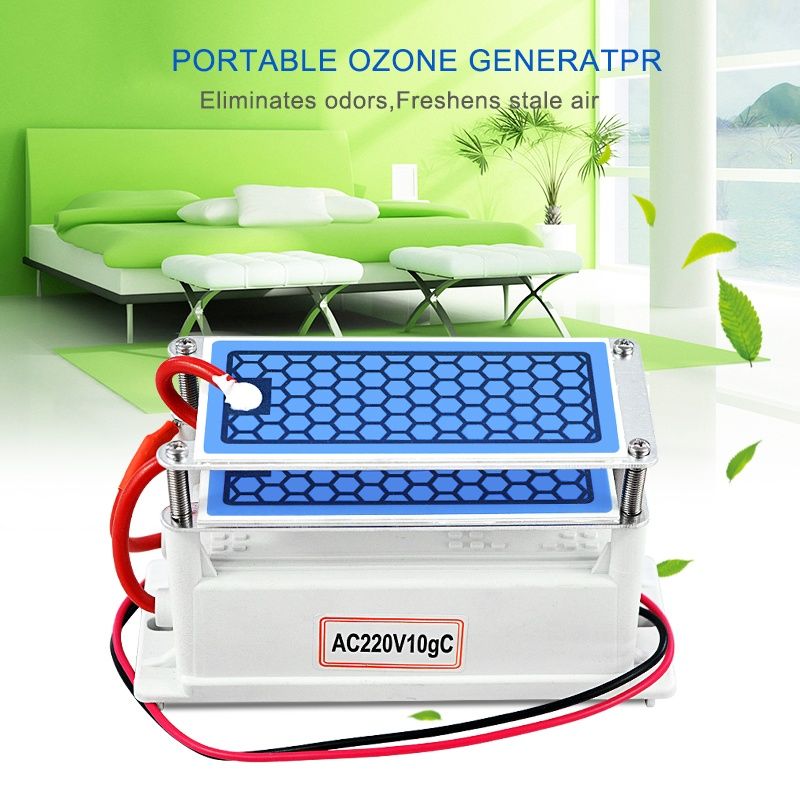 Ozonator generator ozonu 220V 10g 80W oczyszczacz powietrza
