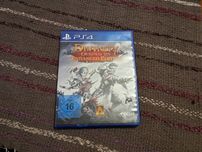 Divinity Original Sin Enhanced PS4 PS5