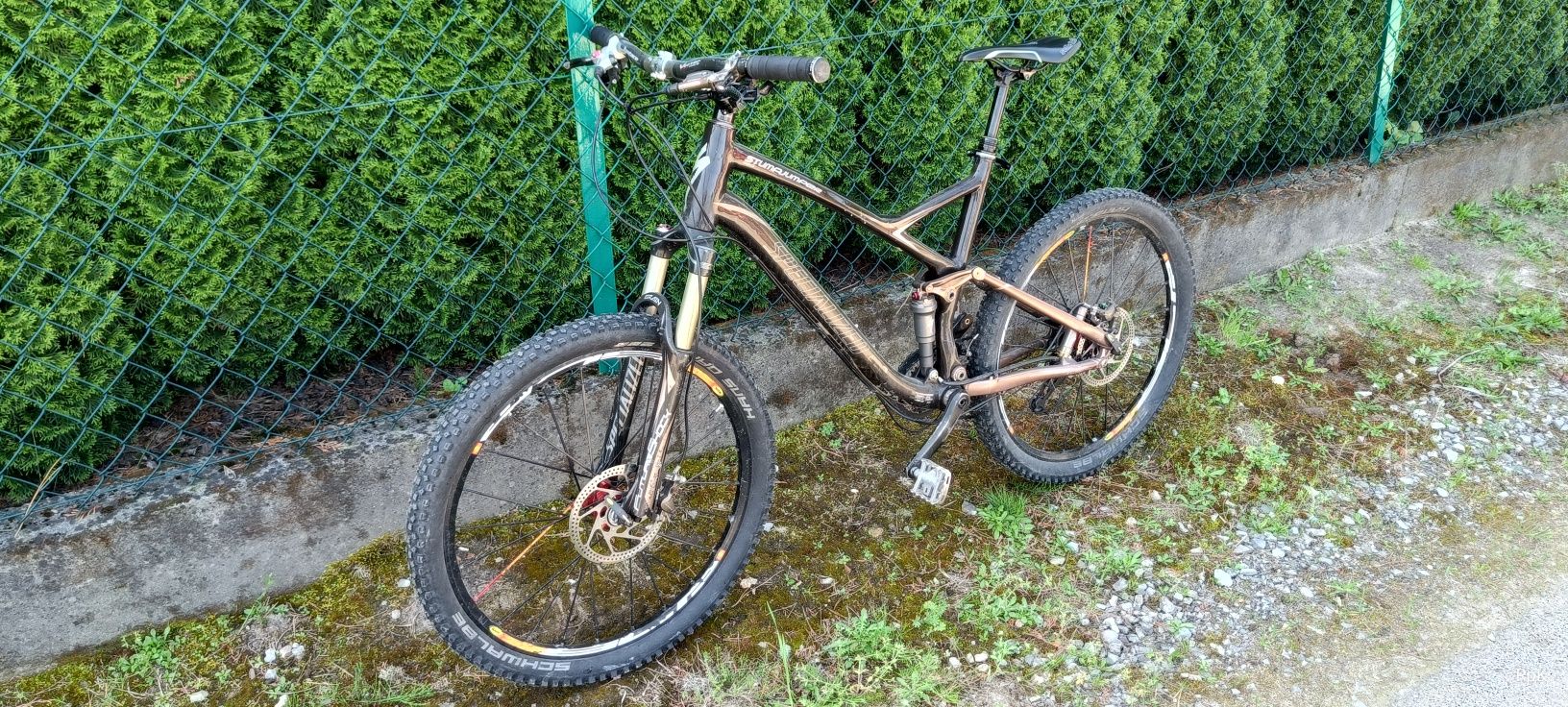 Specialized Stumpjumper Pro Carbon
