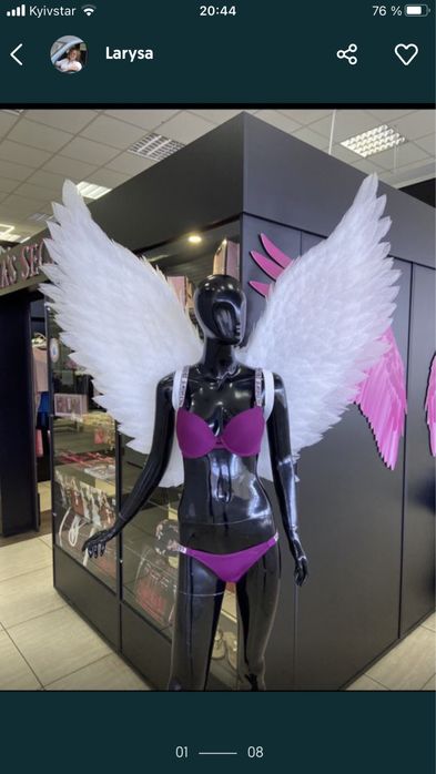 Крила голуба  миру, Крила ангела