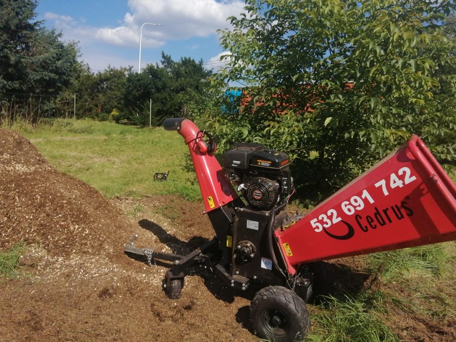 Wycinka Drzew mielenie ,transport  frezowanie wywoz zielonego