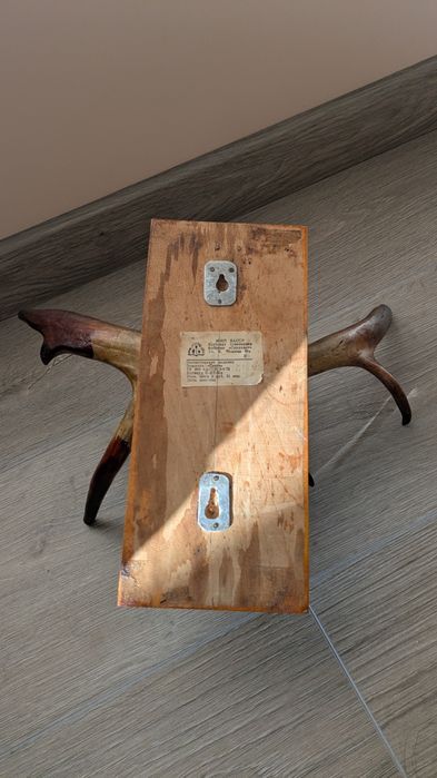 Роги оленя вішак