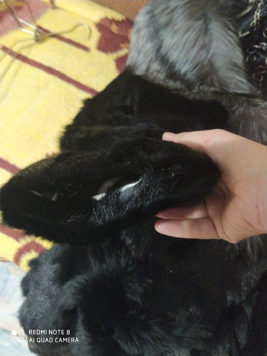 Натуральна шуба з хутра козлика