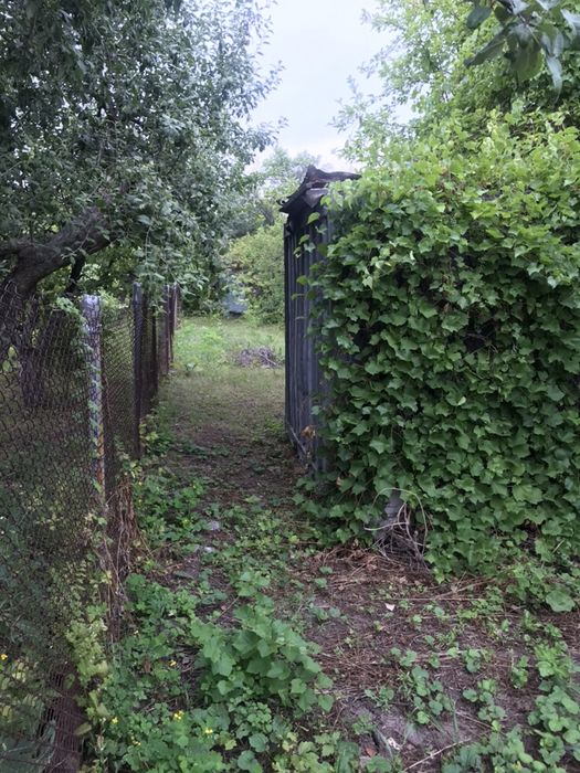 Продам участок в садовому товаристві