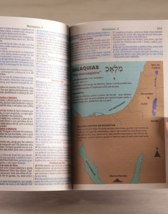 Bíblia Sagrada Leão NOVA | ARC | Letra Maior