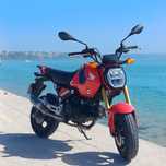 Honda MSX 125 Grom
