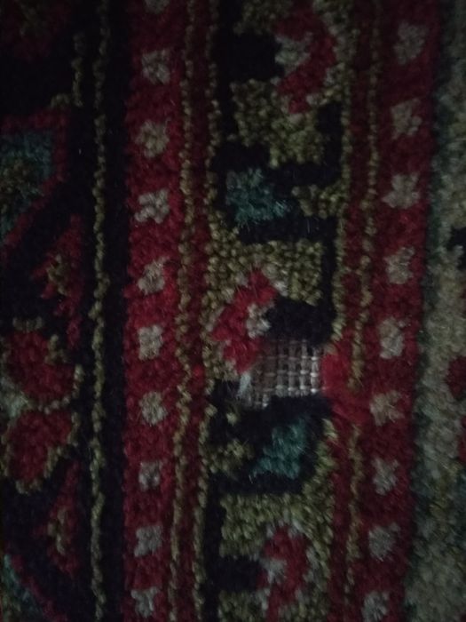 Диван с ковром !