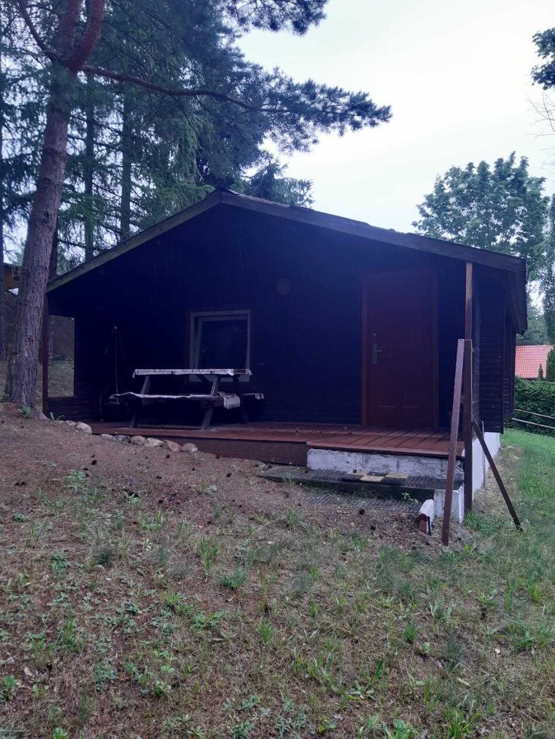 Mazury-Domek Letniskowy nad jeziorem Wersminia, Martiany