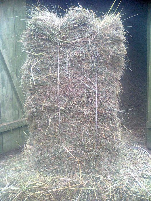 Продам сіно в тюках