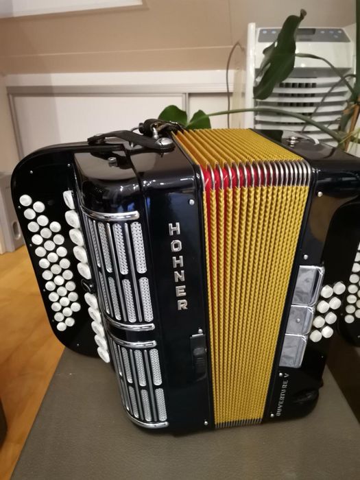 Гармошка, Гармонь, Аккордеон, Баян, Hohner Overture V