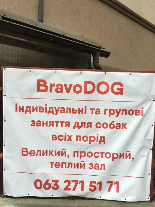 Хендлінг зал хендлер дресирування собак кінолог