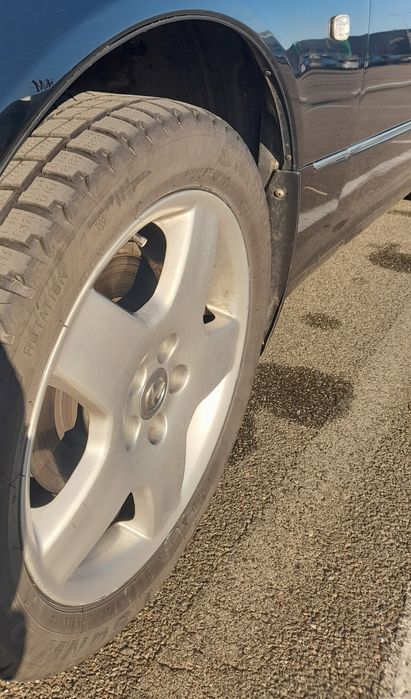 Продам "японського кабана"