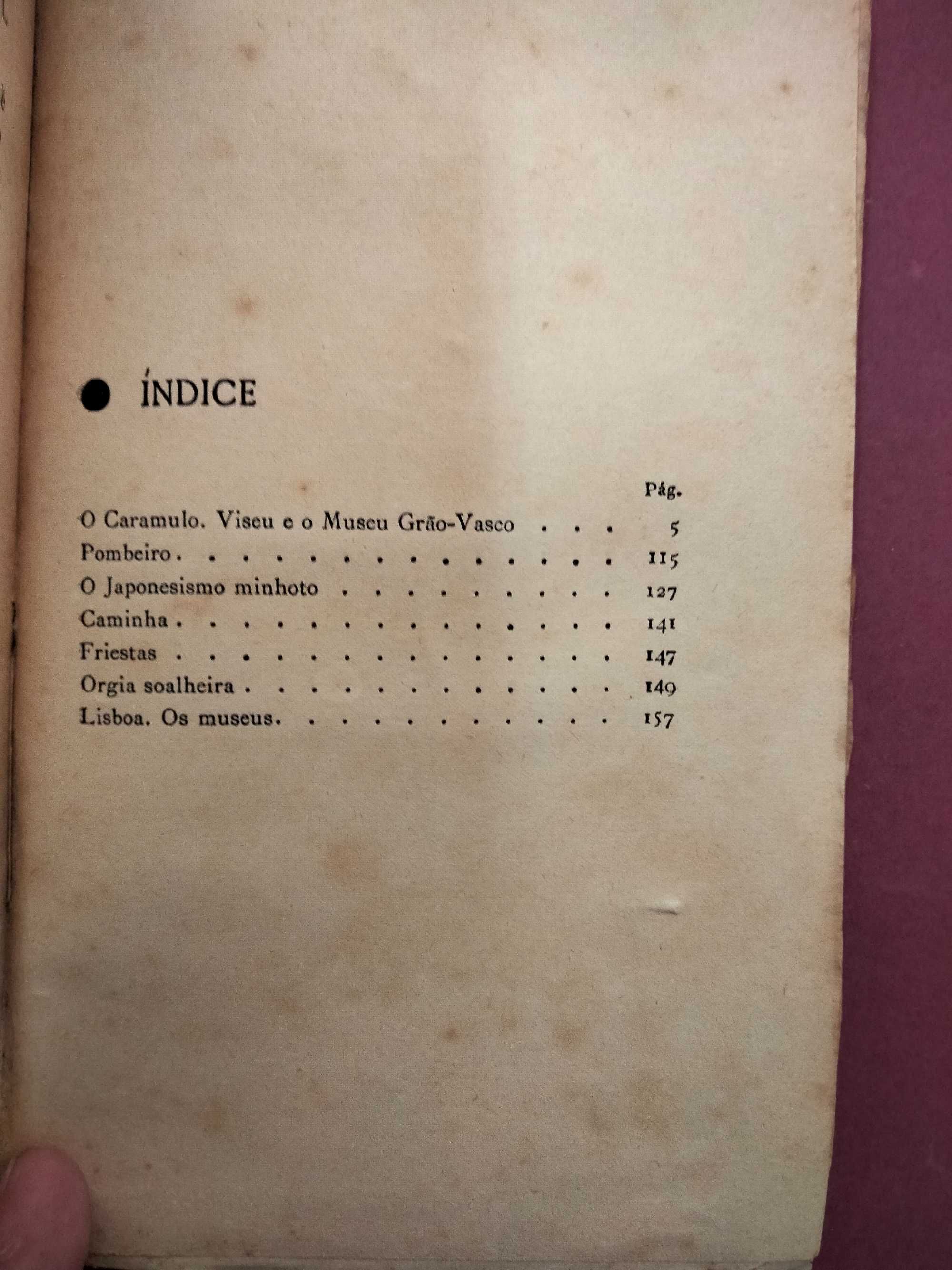 Digressões em Portugal vol. 1º - Abel Salazar