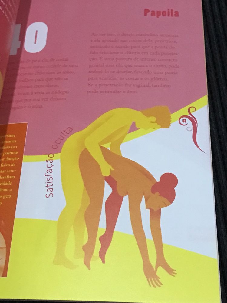 Livro Sexo + de 100 Posições