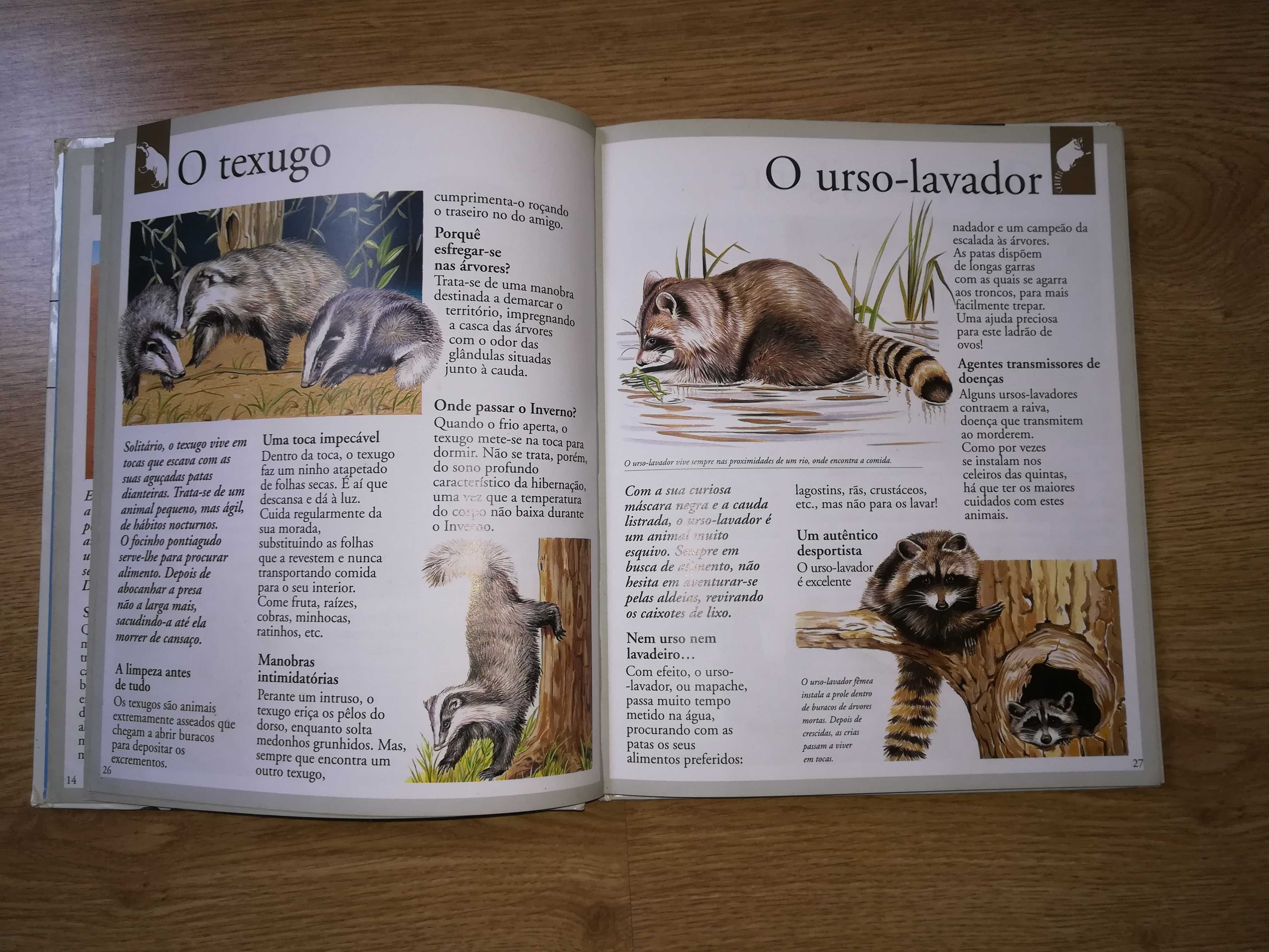 Livro " Os Animais" da Coleção Descoberta do Mundo